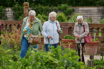 Dekanatswallfahrt Senioren 2024 Seligenstadt
