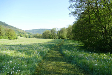 Flurgang Hofmühle