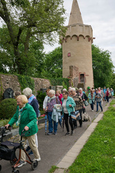 Dekanatswallfahrt Senioren 2024 Seligenstadt