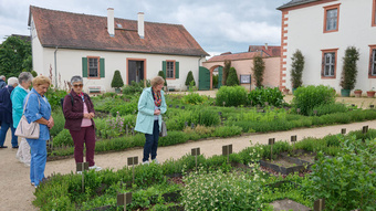 Dekanatswallfahrt Senioren 2024 Seligenstadt